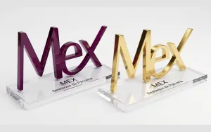 Troféu do MEX Mulheres Executivas em acrílico, versões roxa e dourada